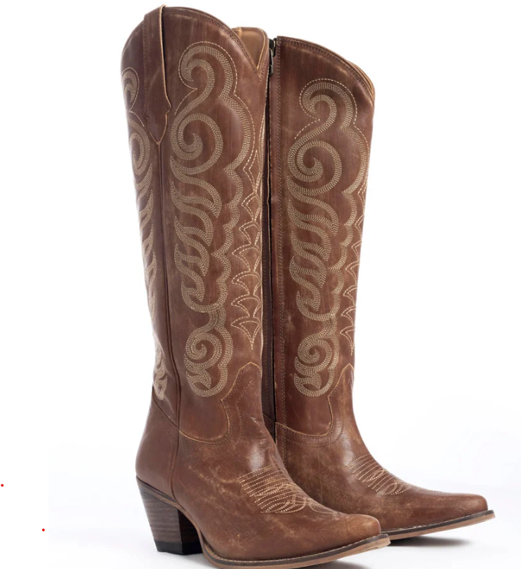 Nalejandra Boots in chocolate Brown